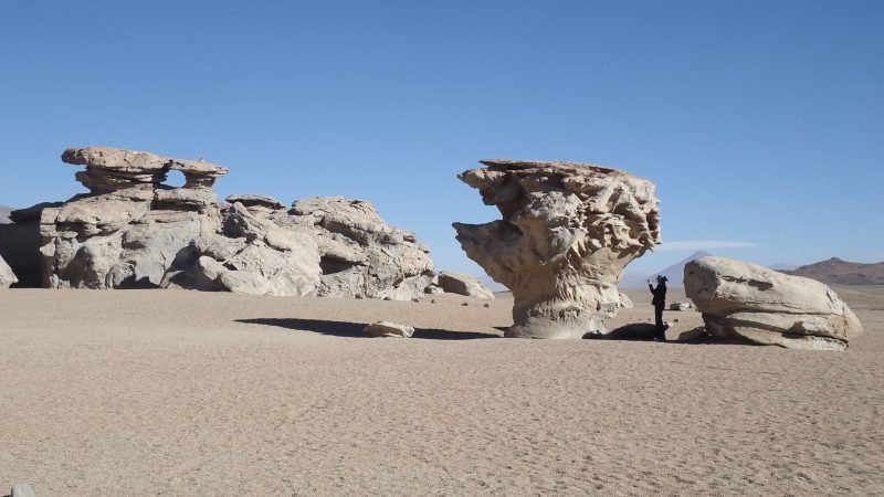 Arbol de Piedra